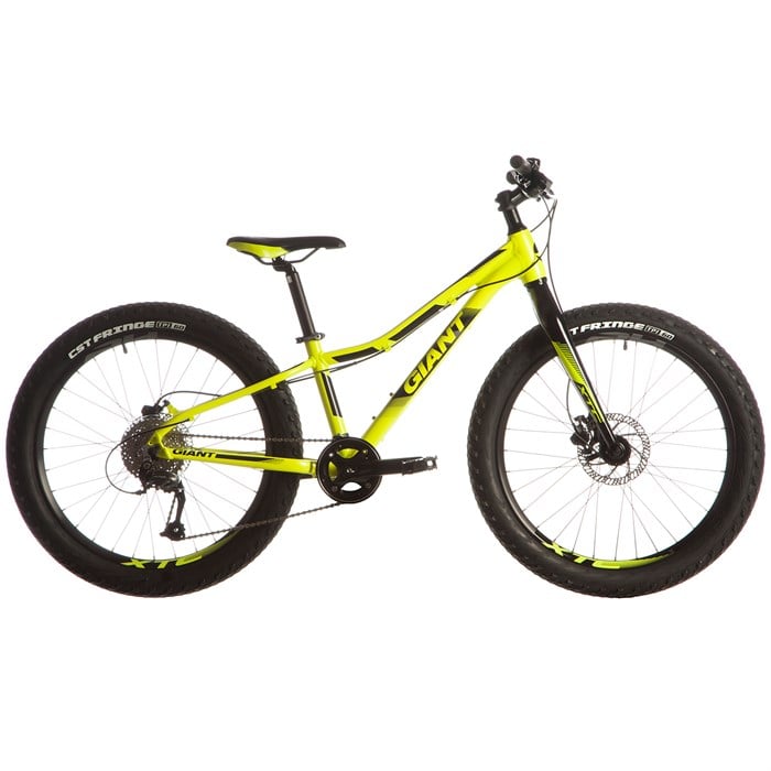 giant childrens mountain bike