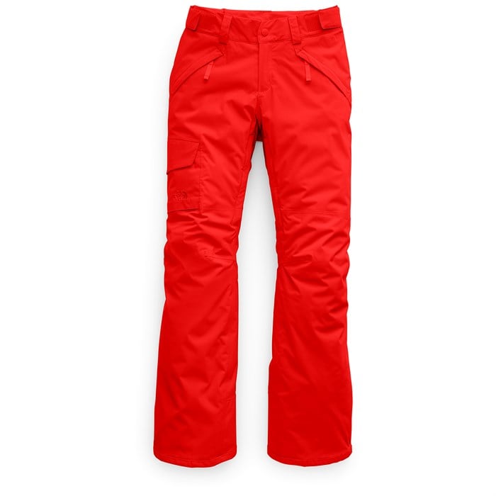 tnf freedom insulated pant