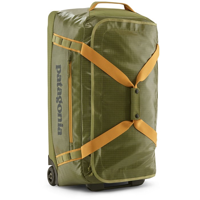 Patagonia luggage best sale