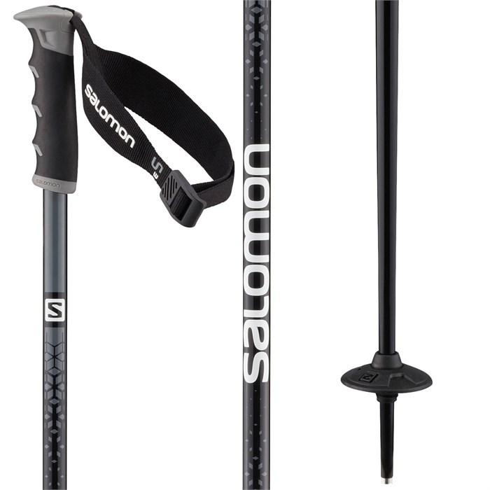 salomon arctic poles