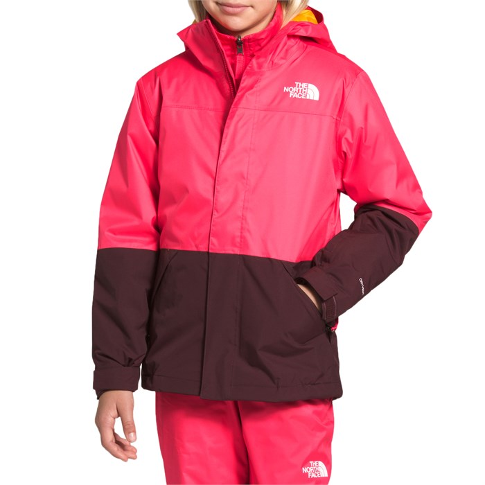 the north face freedom jacket