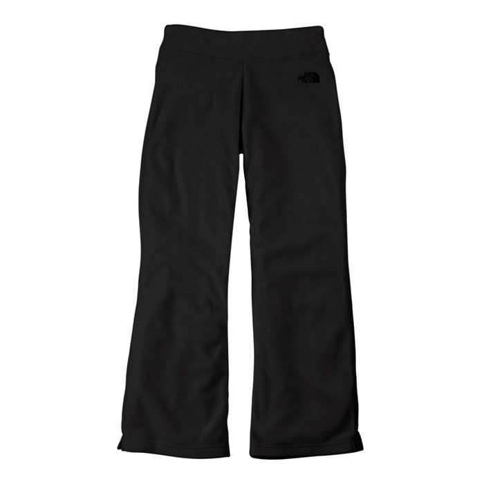 North face glacier outlet pants