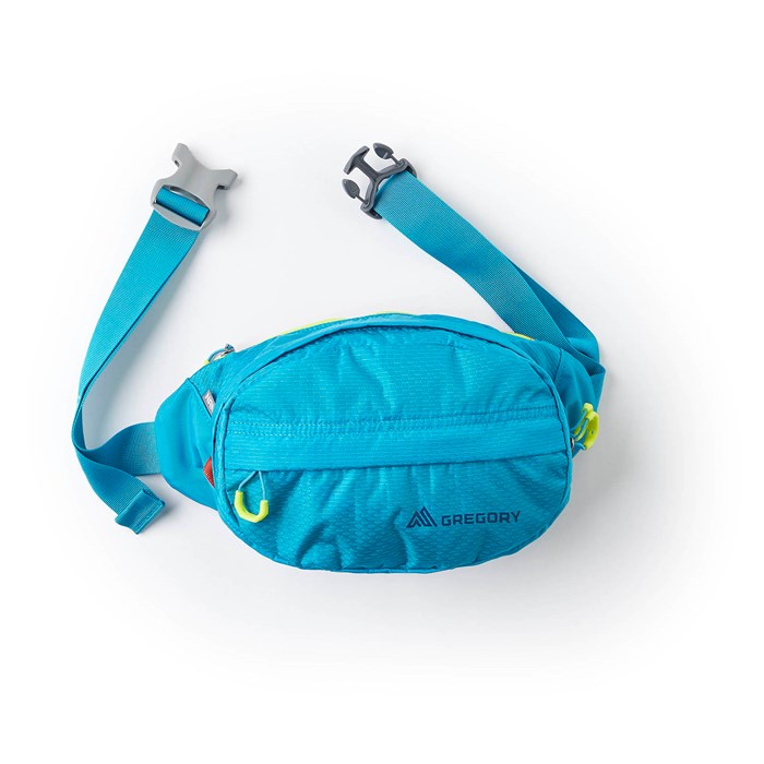 gregory waist pack