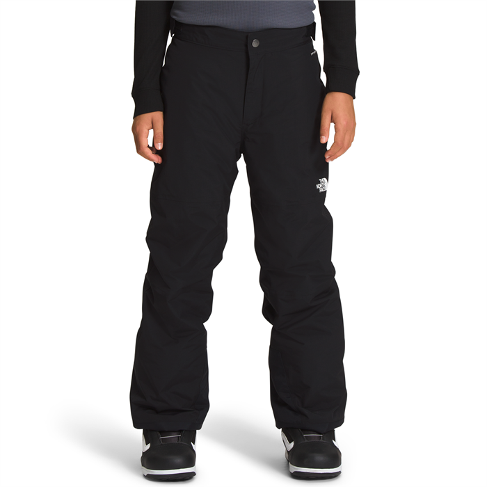Buy The North Face Men's Freedom Insulated Ski Pants Black in