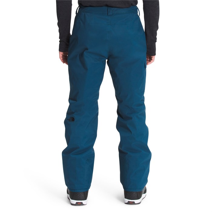 the north face freedom pant
