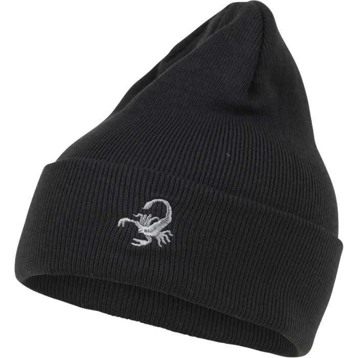 Spacecraft Wild Cuff Beanie evo