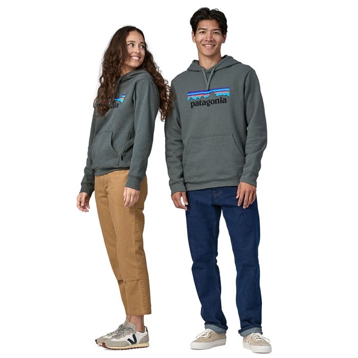 Patagonia p6 sale hoodie grey