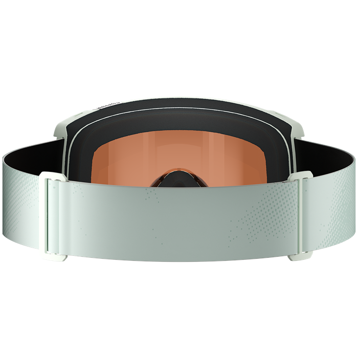 Salomon S/VIEW Goggles | evo