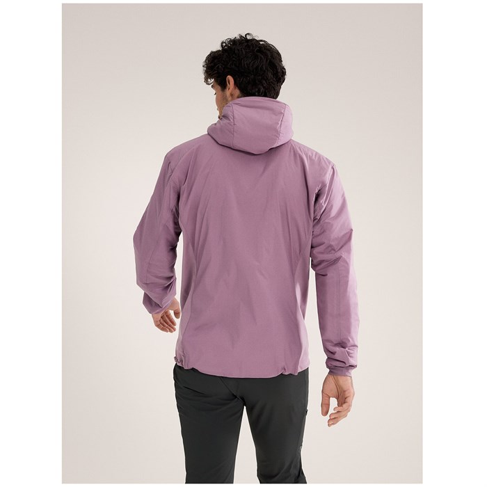 Arc'teryx Atom Hoodie - Men's | evo