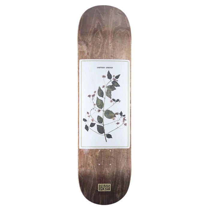 Pass~Port - Invasive Species Lantana 8.5 Skateboard Deck