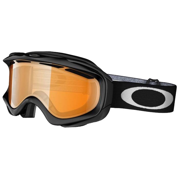 Oakley Ambush Goggles | evo