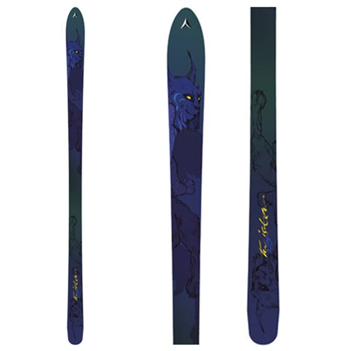 Dynastar Twister Skis 2006 | evo outlet