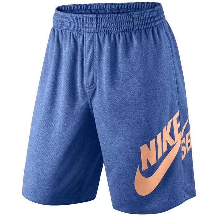 Nike SB Dri-Fit Shorts |