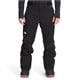 The North Face - The North Face Freedom Insulated Pants - Men's