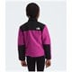 The North Face - Denali Jacket - Toddlers'