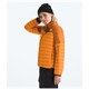 The North Face - Terra Peak Jacket - Women's