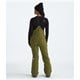 The North Face - Freedom Bibs - Women's