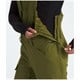 The North Face - Freedom Bibs - Women's