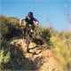 evo - Lookout Short-Sleeve Bike Jersey - Women's