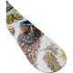 Yes. - Hel Yes Snowboard - Women's 2026