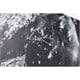 Nitro - Prime Raw Snowboard 2026