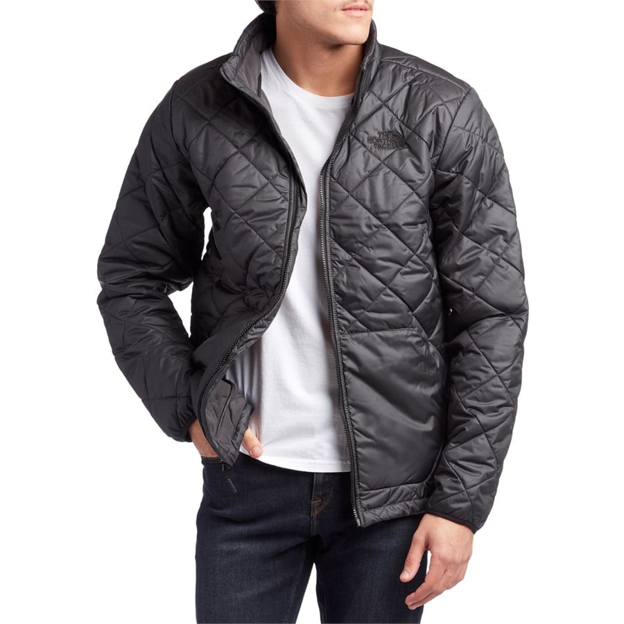 The north face men's best sale cervas vest