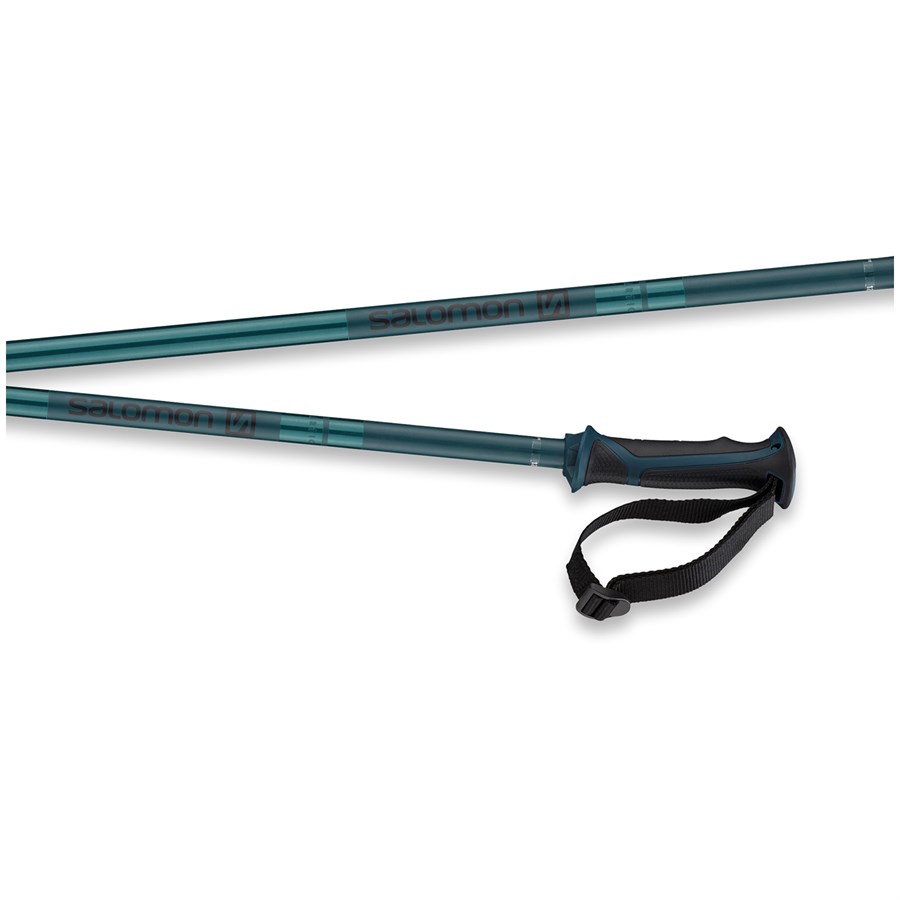 Salomon Arctic Ski Poles | evo