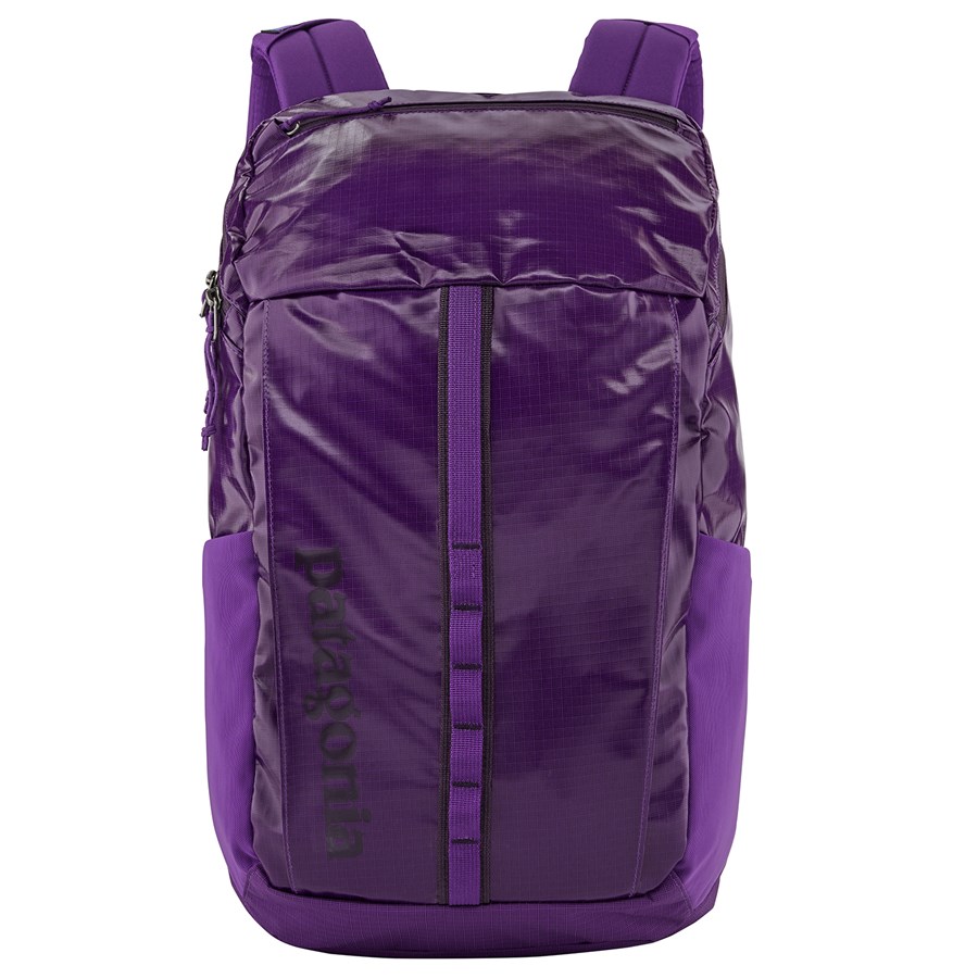 Patagonia black best sale hole backpacks