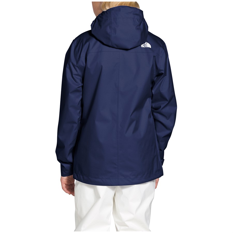 north face the jacket