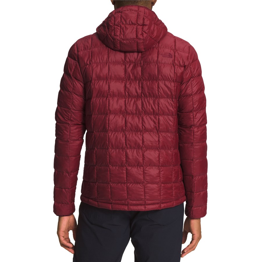 the north face thermoball ™ eco hoodie