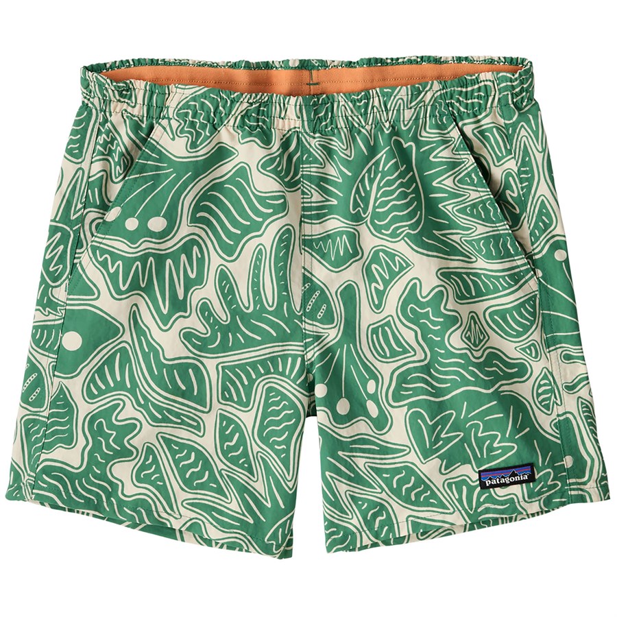 Patagonia Baggies 5