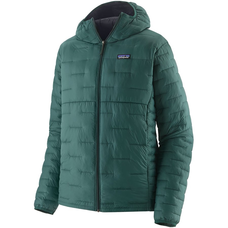 patagonia-micro-puff-hoodie-