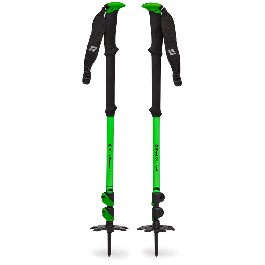 Black Diamond Expedition WR 3 Ski Poles 2025 | evo