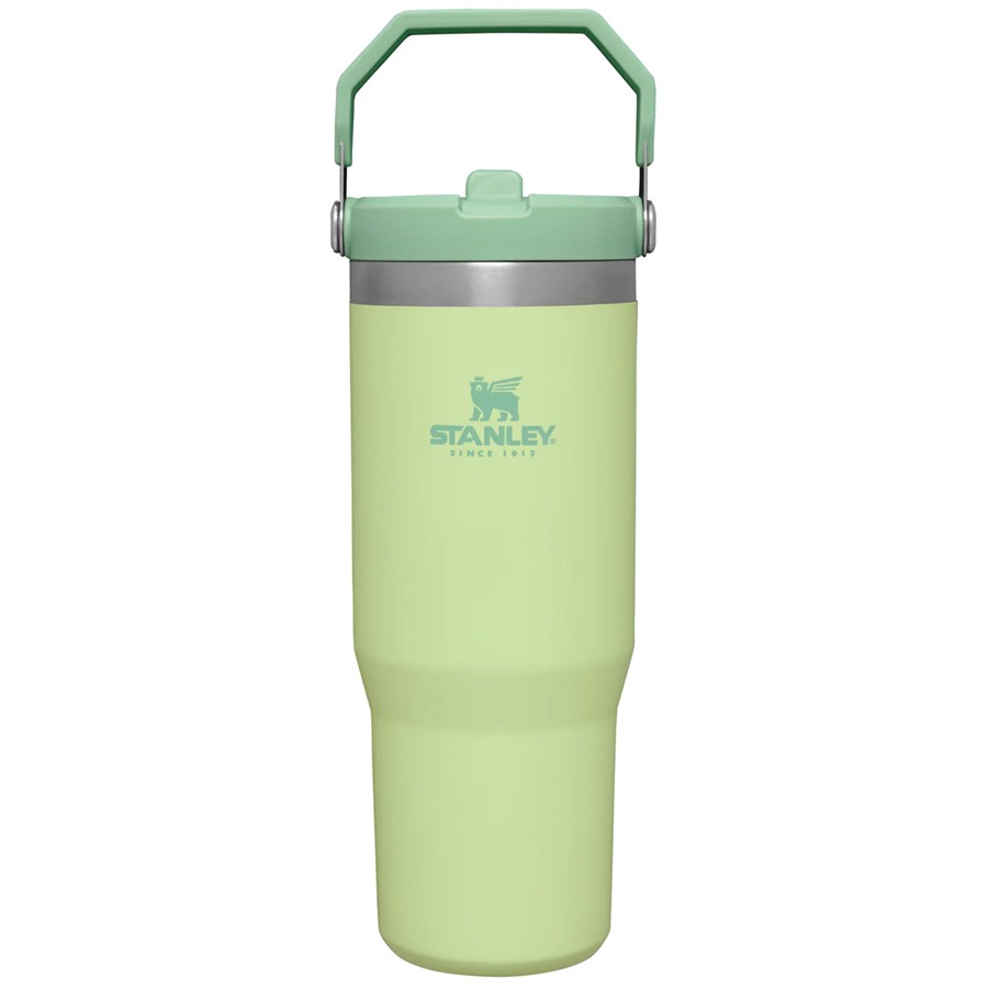 Stanley Ice Flow Flip Straw Water Bottle 22oz Aloe Green Tiktok