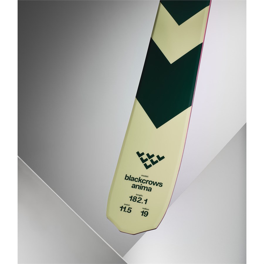 Black Crows Anima Skis 2024 | evo