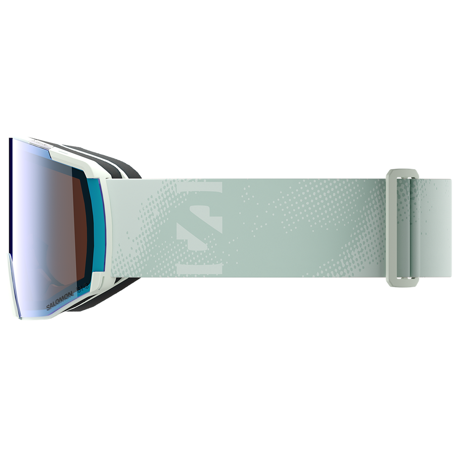 Salomon S/VIEW Goggles | evo