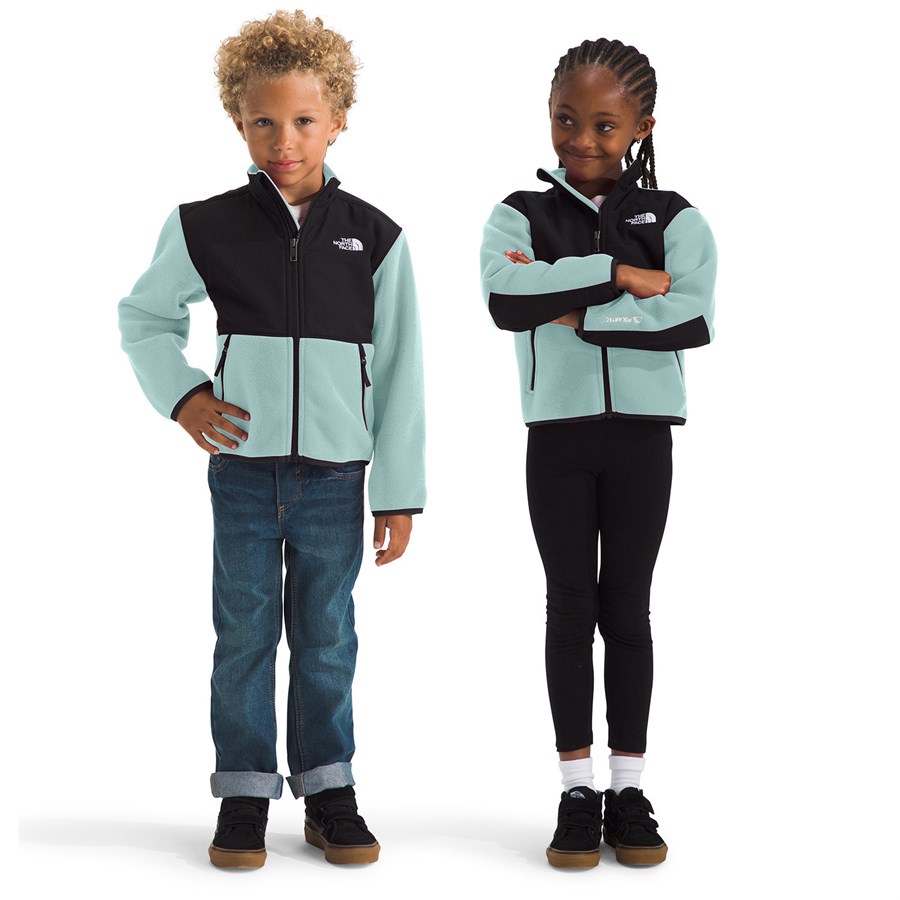 Toddler north face denali 3t hotsell
