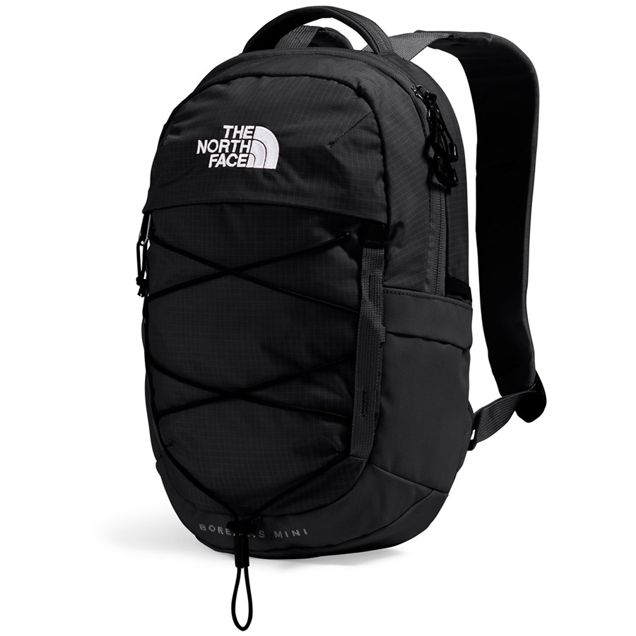 The North Face Borealis Mini Backpack | evo Canada
