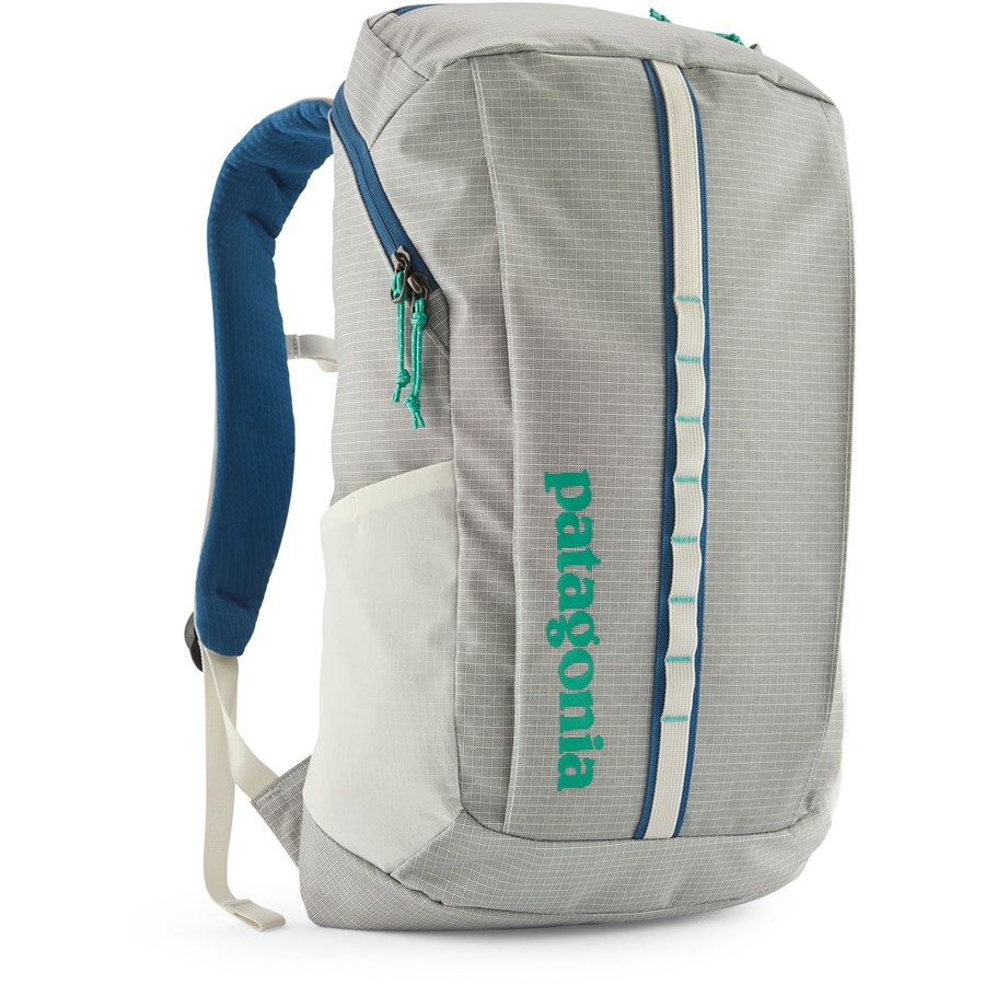 Patagonia Black Hole 25L Pack | evo