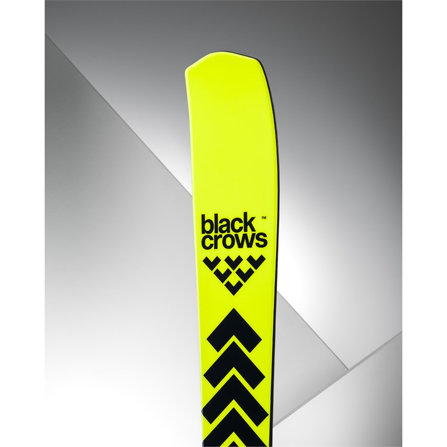 Black Crows Octo Skis 2026 | evo
