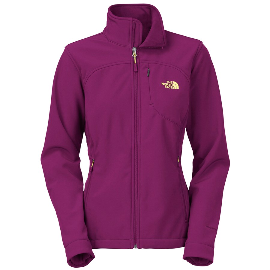 womens north face bionic jacket