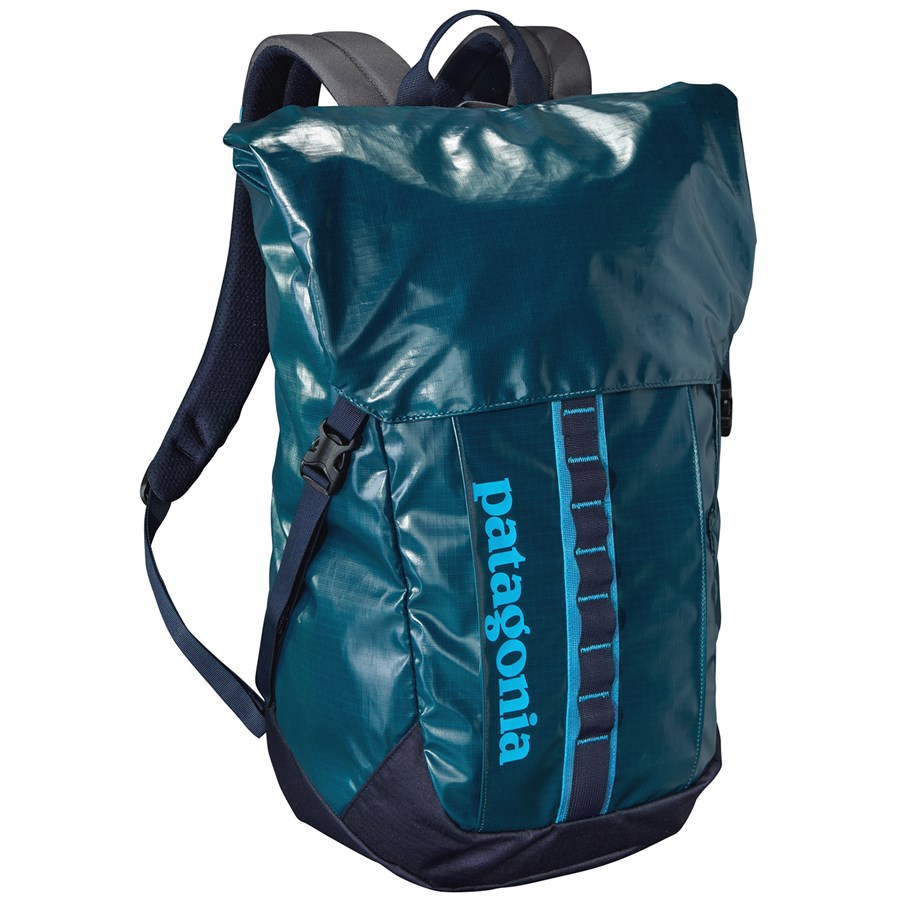 Patagonia Black Hole® 32L Backpack | evo Canada