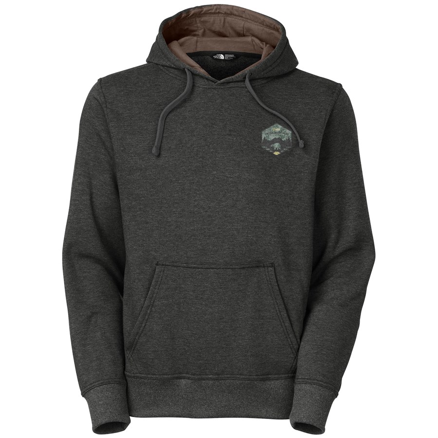 the north face parks pullover hoodie