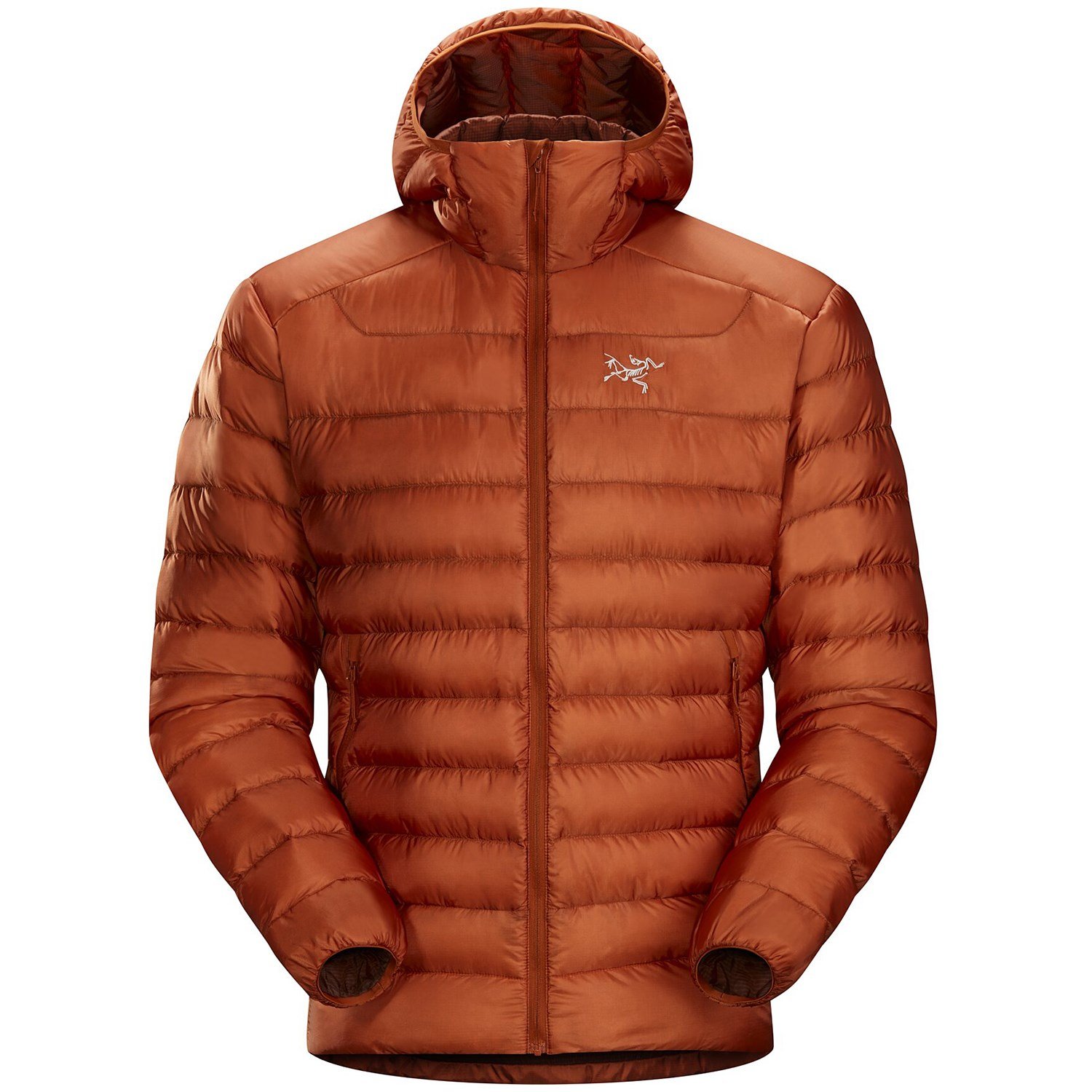 Arc'teryx Alpha Parka - Down jacket Men's, Free EU Delivery