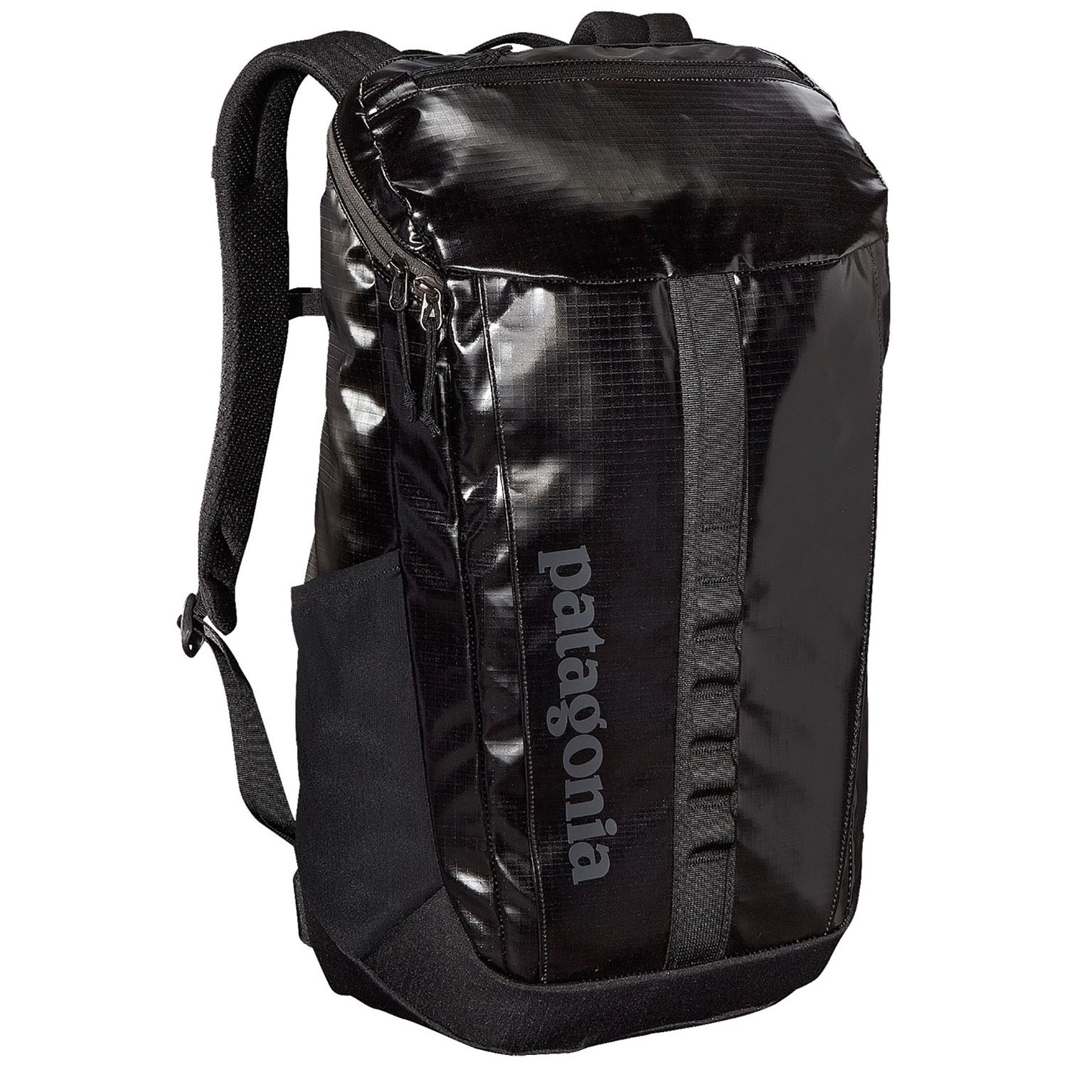 Patagonia Black Hole® 25L Backpack | evo