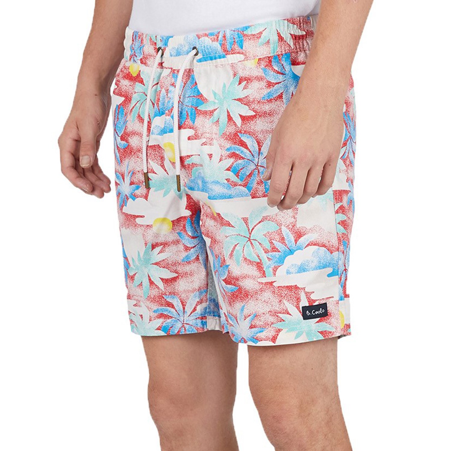 Barney Cools Amphibious 17 Swim Trunks evo