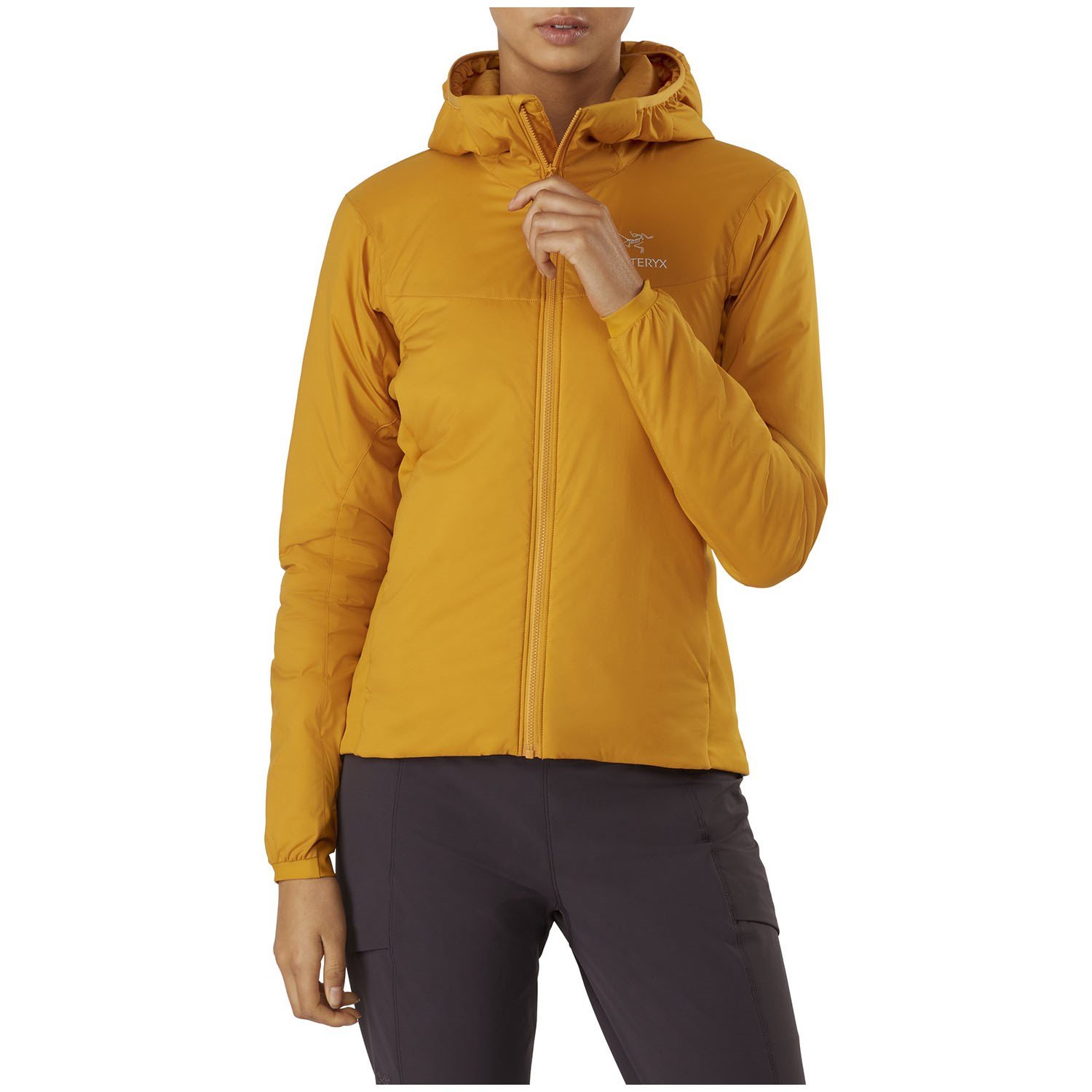 Arcteryx atom 2025 lt hoody quantum