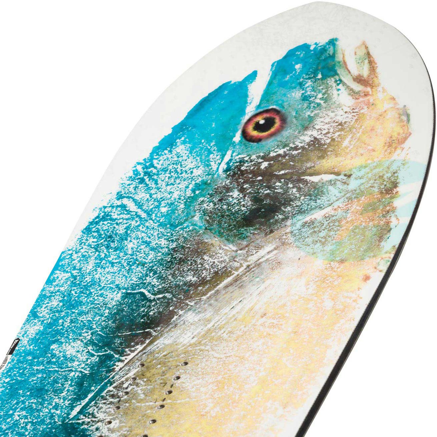 Rossignol sushi deals 2020