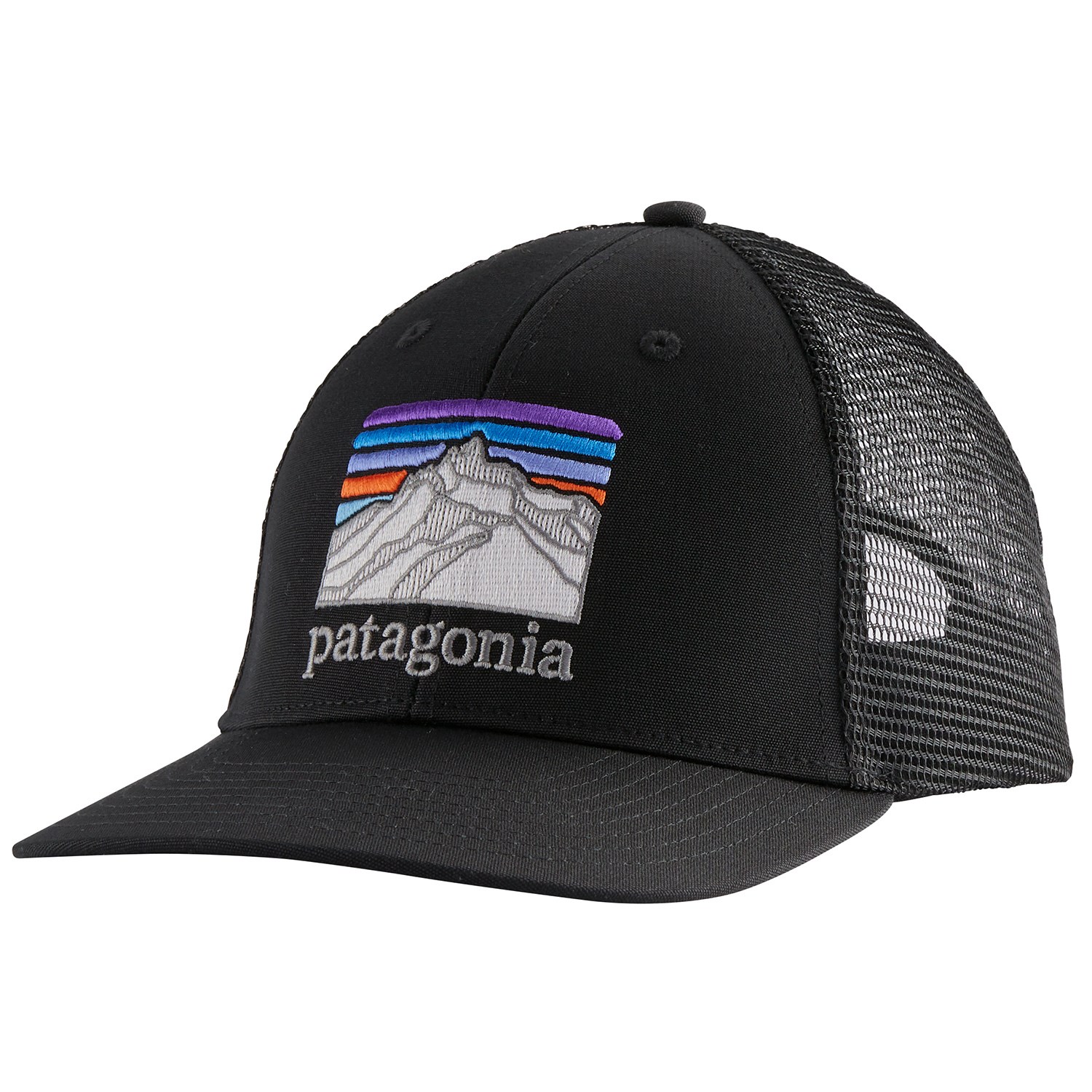 patagonia dad cap