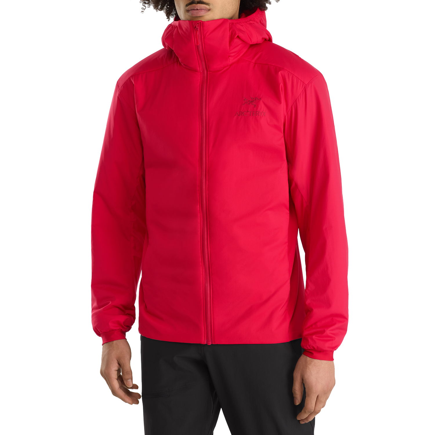 Arc'teryx Atom LT Hoodie | evo